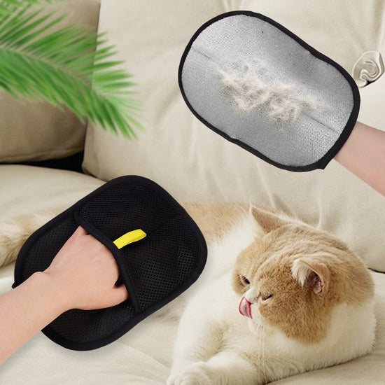 pet hair removal gloves